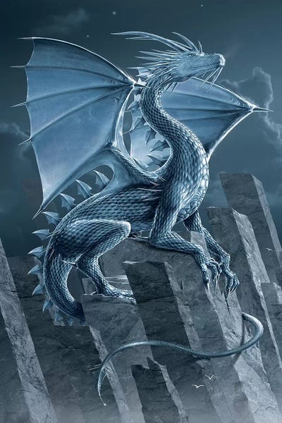 Dragons: Silver Dragon by Vincent Hie