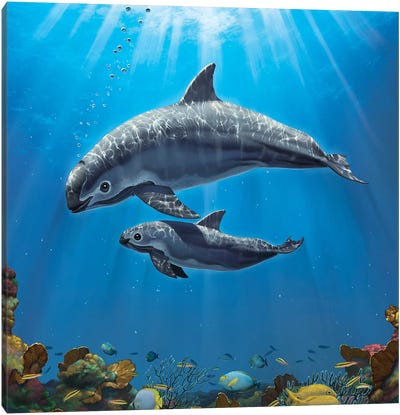 Vaquita Critically Endangered Canvas Art Print - Marine Life Conservation