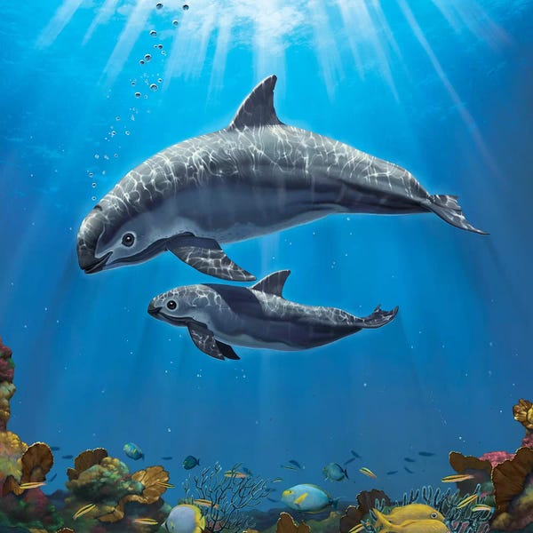 Marine Life Conservation: Vaquita Critically Endangered by Vincent Hie