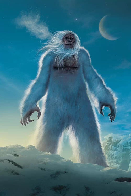 Yeti by Vincent Hie wall art