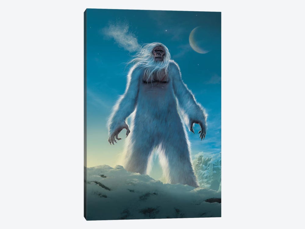 Yeti by Vincent Hie 1-piece Canvas Wall Art
