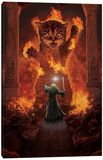 You Shall Not Pass! Canvas Art Print - Witty Humor Art