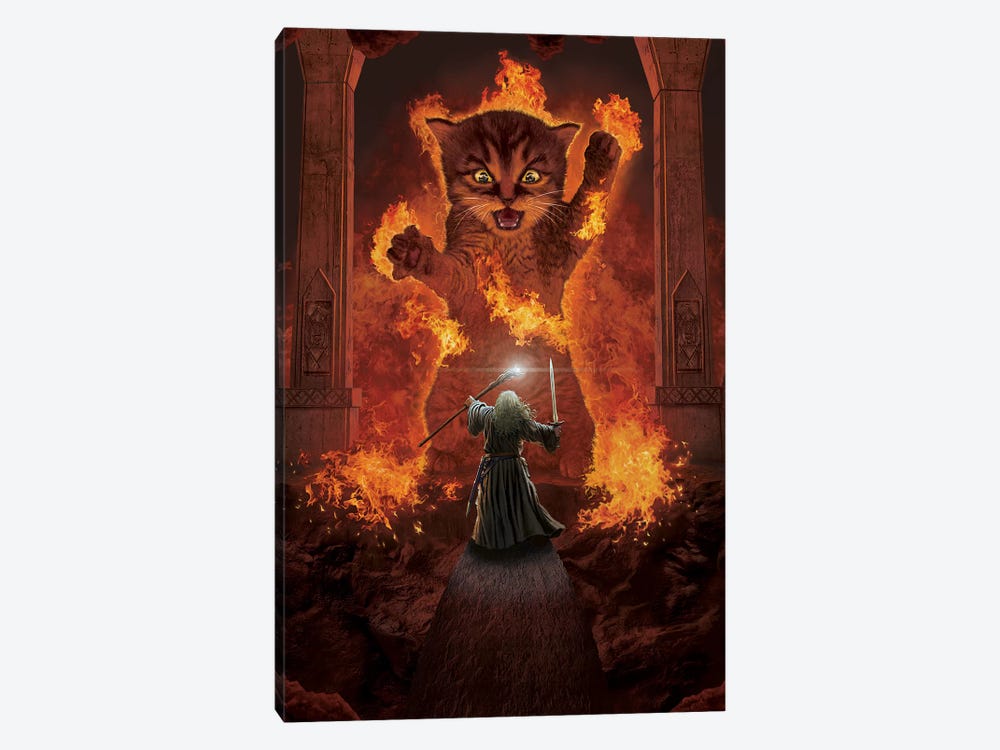 You Shall Not Pass! by Vincent Hie 1-piece Canvas Art Print