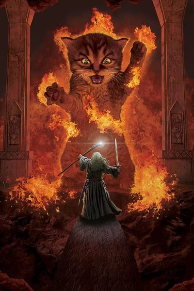 Fictional Characters: You Shall Not Pass! by Vincent Hie