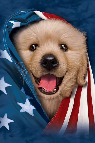 American Flags: Lab In Flag by Vincent Hie