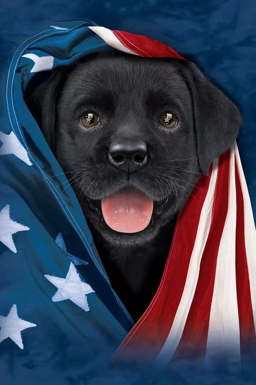 Chocolate Lab In Flag