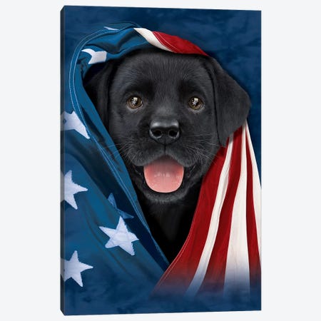Chocolate Lab In Flag Canvas Print #HIE96} by Vincent Hie Canvas Art Print