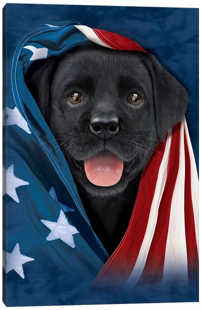 Chocolate Lab In Flag Canvas Art Print - Vincent Hie