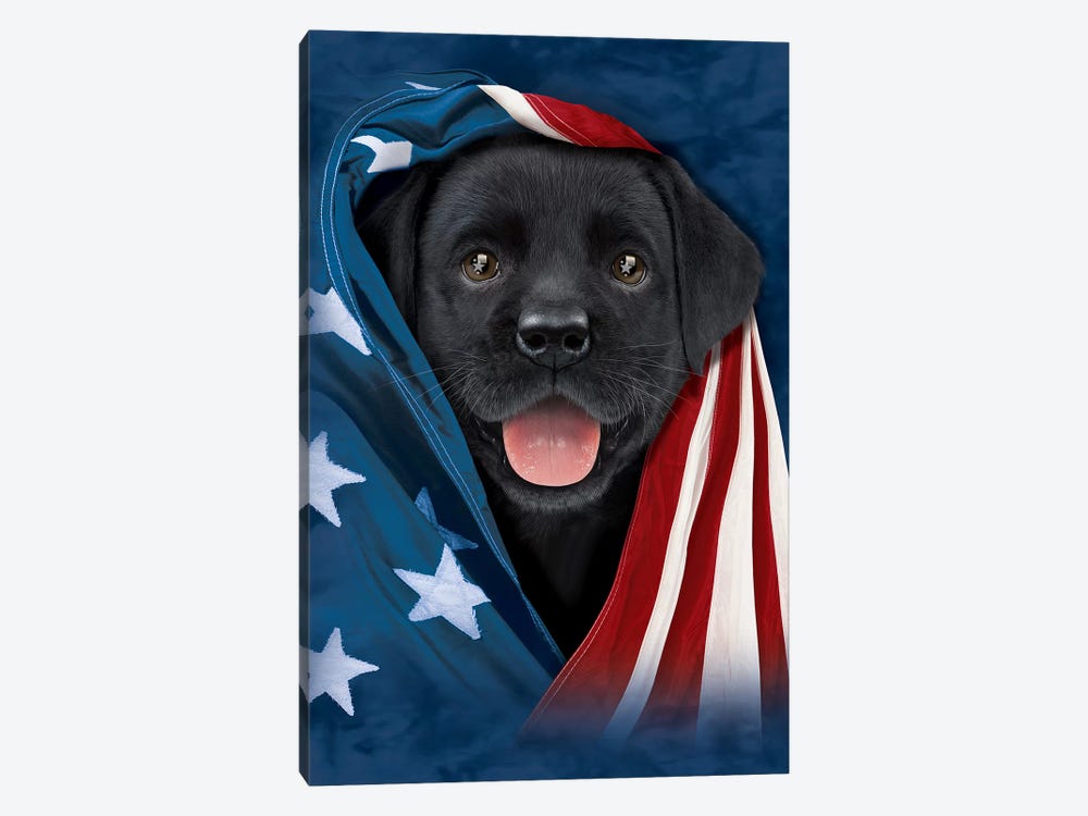 Chocolate Lab In Flag by Vincent Hie 1-piece Canvas Wall Art