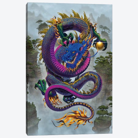 Good Fortune Dragon  Canvas Print #HIE98} by Vincent Hie Canvas Wall Art