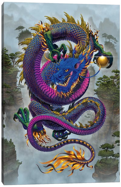 Good Fortune Dragon  Canvas Art Print - Asian Décor