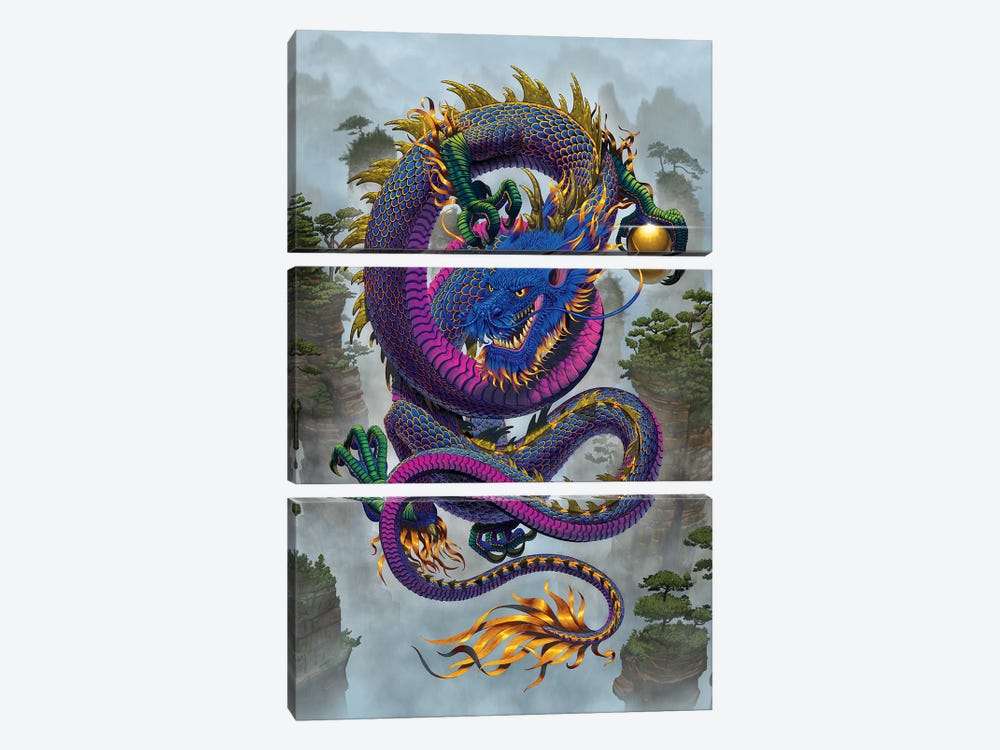 Good Fortune Dragon  by Vincent Hie 3-piece Canvas Wall Art