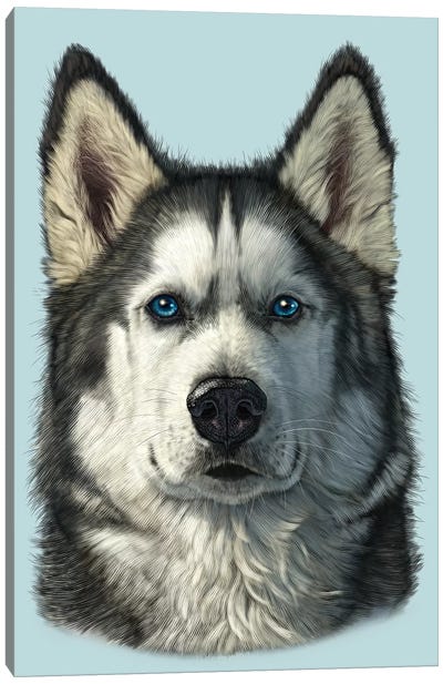 Husky Portrait Canvas Art Print - Vincent Hie