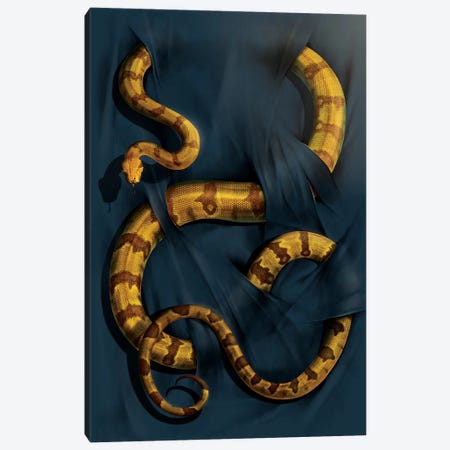 Boa Constrictor Canvas Print #HIE9} by Vincent Hie Canvas Art
