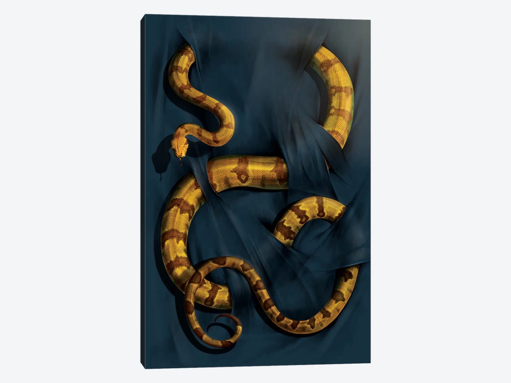 Boa Constrictor by Vincent Hie 1-piece Canvas Wall Art