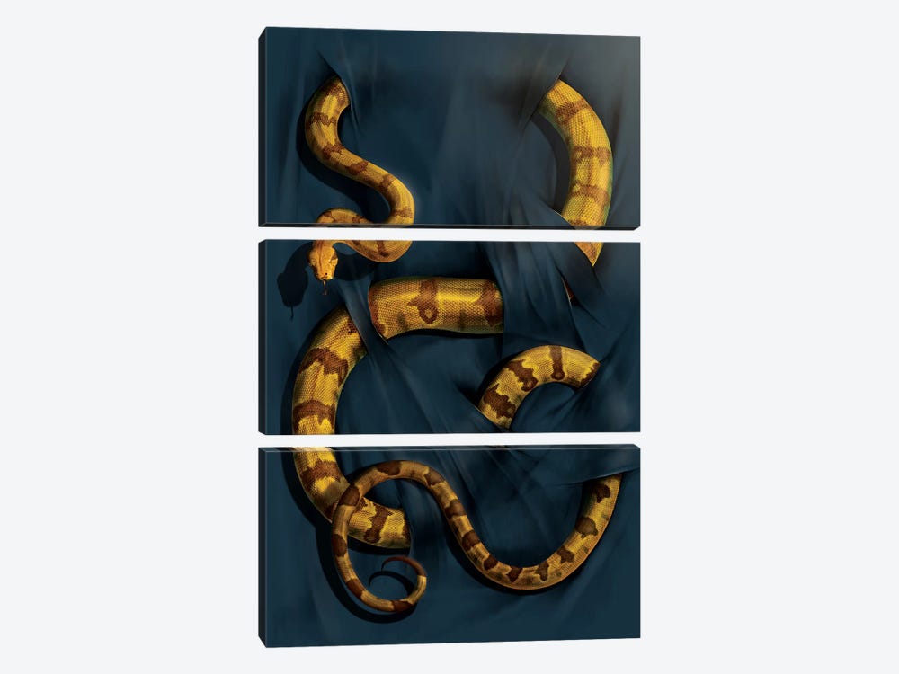 Boa Constrictor by Vincent Hie 3-piece Canvas Art