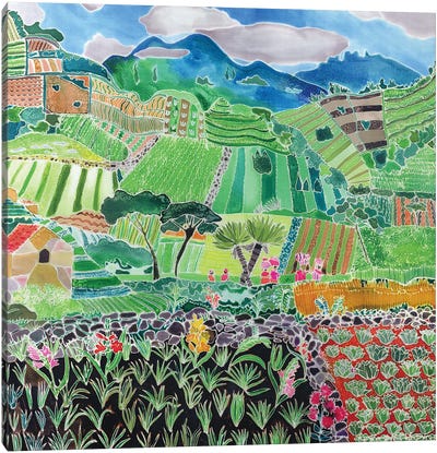 Cabbages And Lilies, Solola Region, Guatemala, 1993 Canvas Art Print - Farm Art