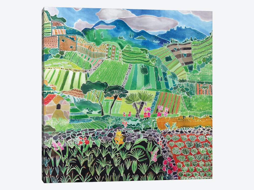 Cabbages And Lilies, Solola Region, Guatemala, 1993 by Hilary Simon 1-piece Canvas Print