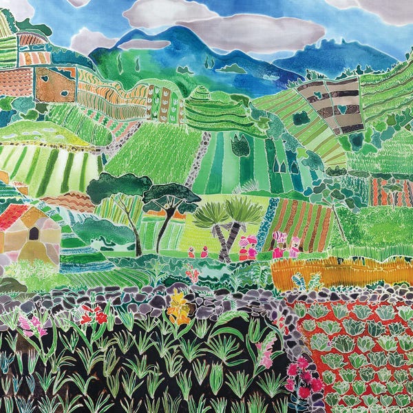 Asian Décor: Cabbages And Lilies, Solola Region, Guatemala, 1993 by Hilary Simon
