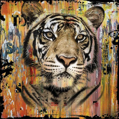 Canvas Print: Wildlife Tiger by Hans Jochem Bakker - thumbnail