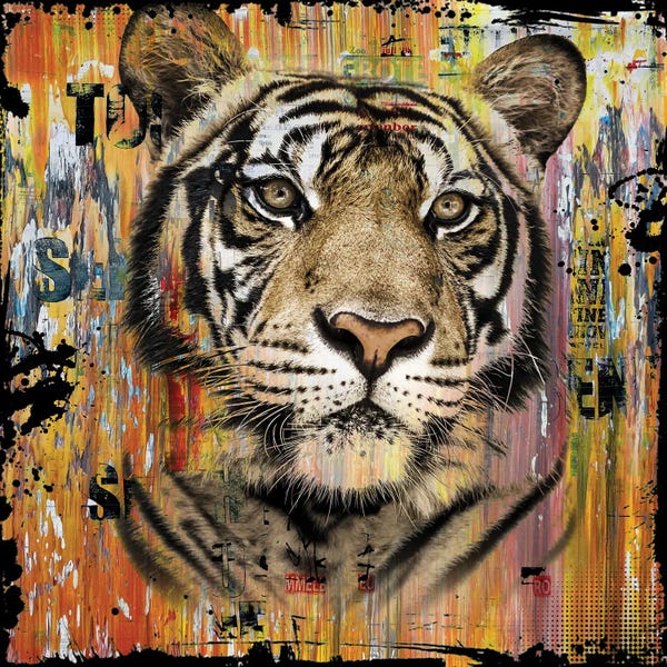 Hans Jochem Bakker: Wildlife Tiger by Hans Jochem Bakker