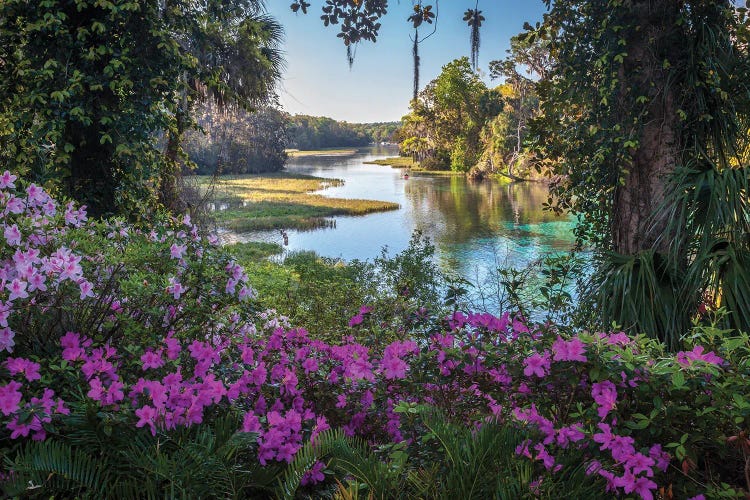 Rainbow Springs