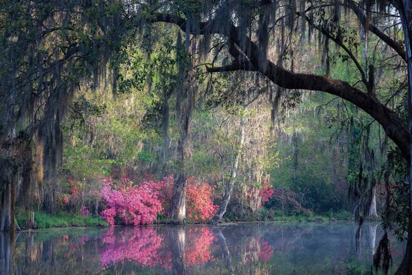 Spring: Morning Serenity by H.J. Herrera