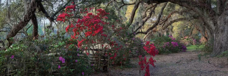 Springtime Morning by H.J. Herrera wall art