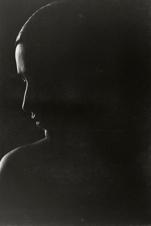 The Silhouette by Henrik Bulow wall art