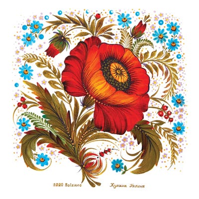 Poppy Flower by Halyna Kulaga framed wall art