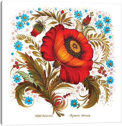 Poppy Flower Canvas Art Print - Halyna Kulaga