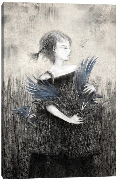 Charcoal XI Crow Basket Canvas Art Print - Hiroyuki Kurava