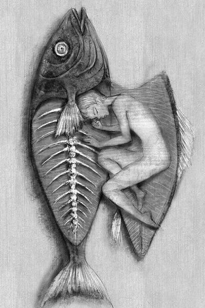 Charcoal XII In My Fish by Hiroyuki Kurava metal wall art