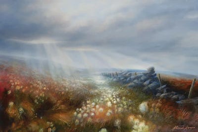 Light Effect - Sun Rays On Wind Swept Cotton Grass Moorland by Hannah Kerwin canvas print