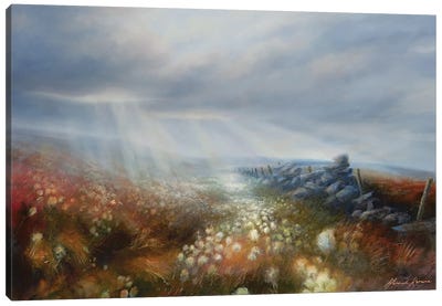 Light Effect - Sun Rays On Wind Swept Cotton Grass Moorland Canvas Art Print - Moody Atmospheres