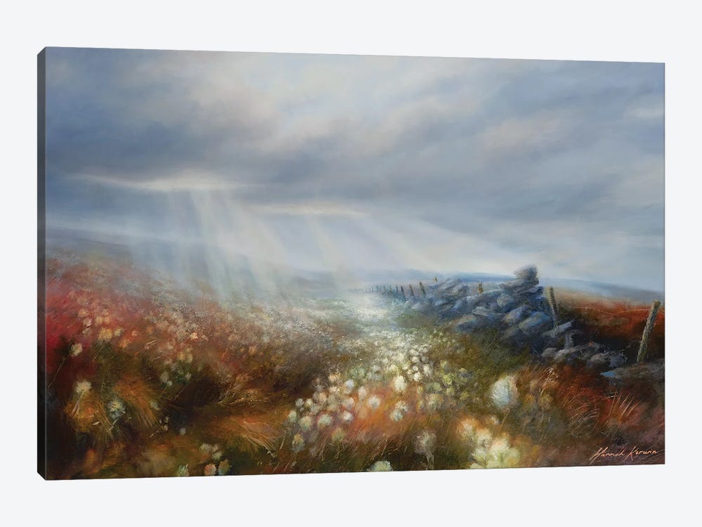 Light Effect - Sun Rays On Wind Swept Cotton Grass Moorland by Hannah Kerwin 1-piece Art Print