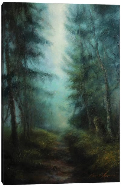 Light Mists Through Trees - Tree Shadow At Grisedale Forest Canvas Art Print - Hannah Kerwin