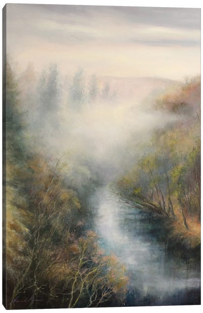Mist Effect Over Nidd Gorge, North Yorkshire Canvas Art Print - Hannah Kerwin
