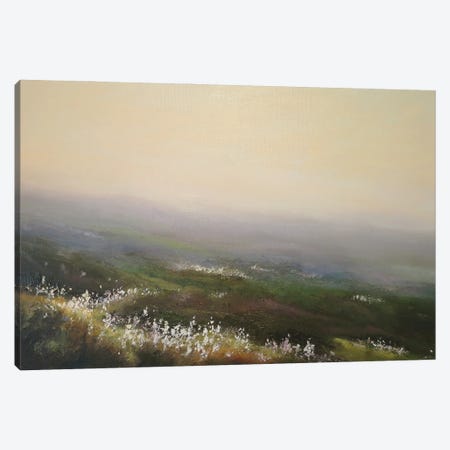 Misty Weather And Cotton Grass - Cragg Vale Near Hebden Bridge Canvas Print #HKW18} by Hannah Kerwin Canvas Print