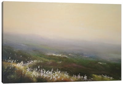 Misty Weather And Cotton Grass - Cragg Vale Near Hebden Bridge Canvas Art Print - Hannah Kerwin