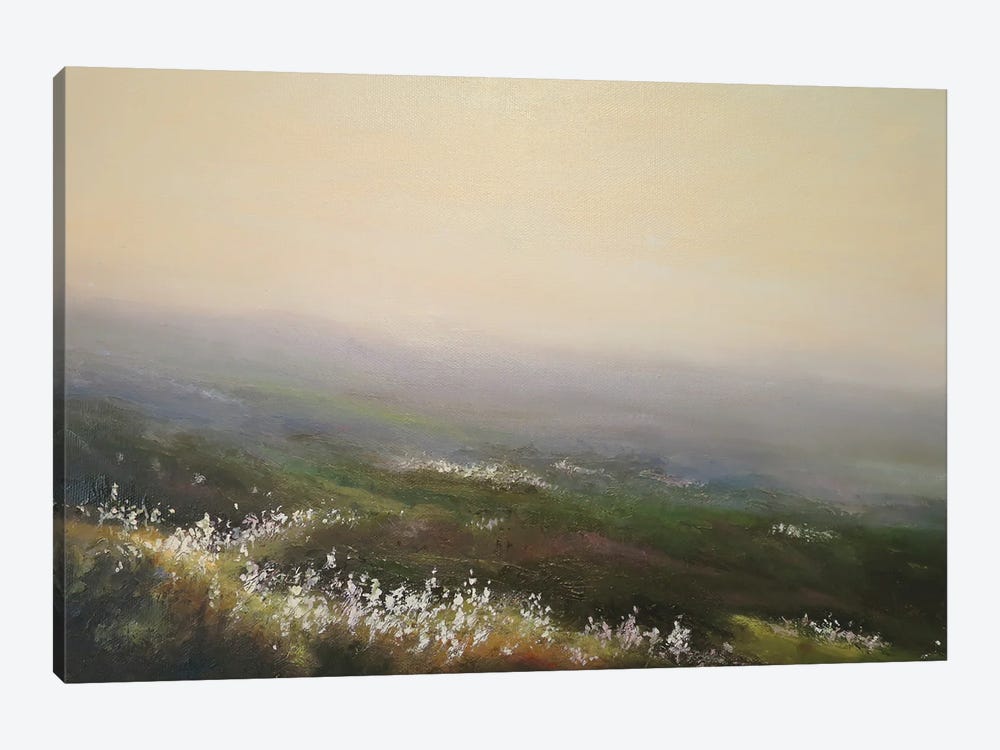 Misty Weather And Cotton Grass - Cragg Vale Near Hebden Bridge by Hannah Kerwin 1-piece Canvas Art