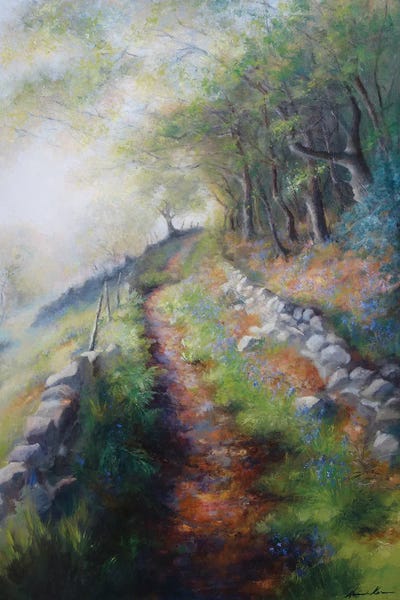 Ancient Pack Horse Track Through The Woods Early Spring by Hannah Kerwin canvas print