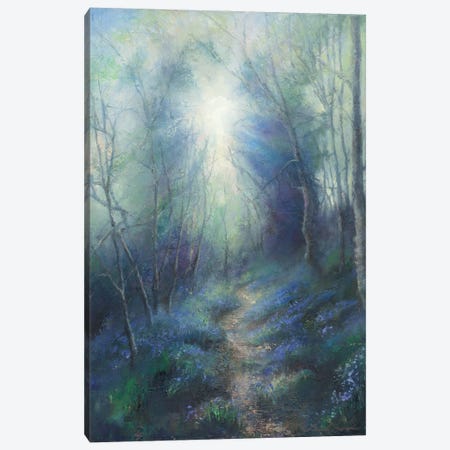 Morning Light Filtering Through Leaves, Bluebell Woodland In West Yorkshire. Canvas Print #HKW20} by Hannah Kerwin Canvas Art