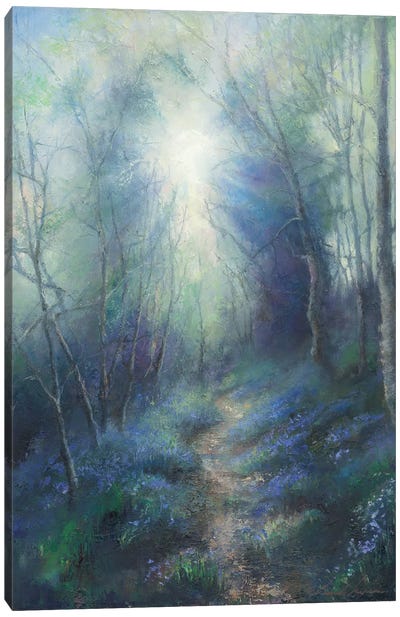 Morning Light Filtering Through Leaves, Bluebell Woodland In West Yorkshire. Canvas Art Print - Hannah Kerwin