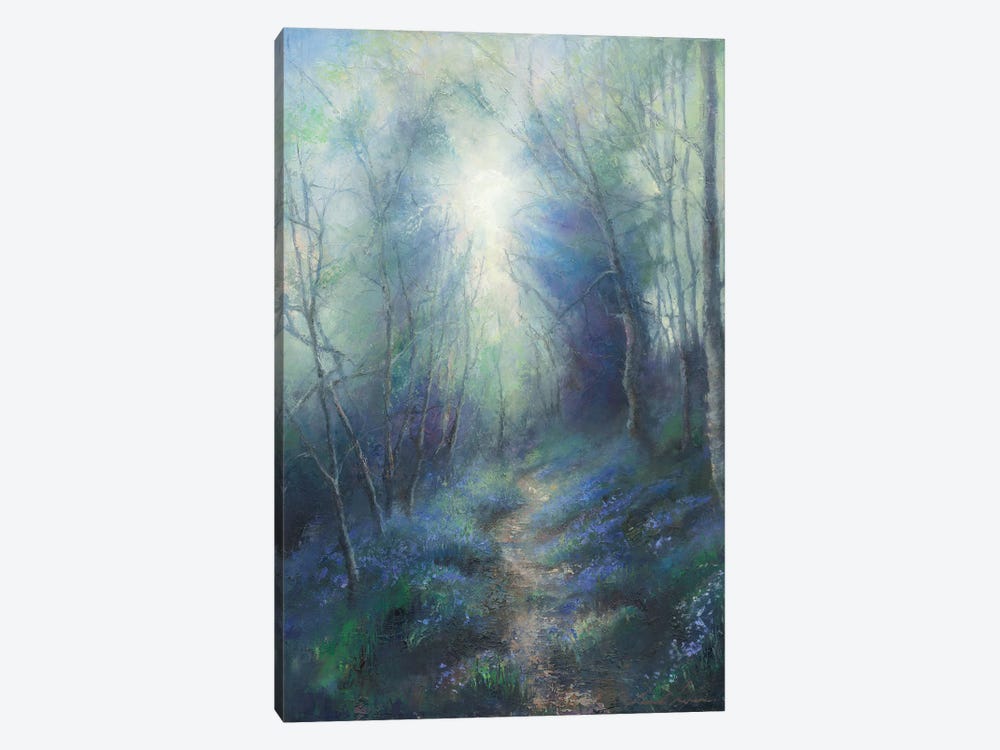 Morning Light Filtering Through Leaves, Bluebell Woodland In West Yorkshire. by Hannah Kerwin 1-piece Canvas Art Print