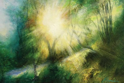 Morning Sun Rise Through The Branches Country Lane In Yorkshire by Hannah Kerwin canvas print