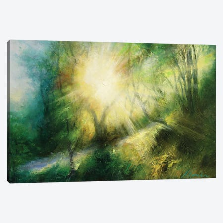 Morning Sun Rise Through The Branches Country Lane In Yorkshire Canvas Print #HKW21} by Hannah Kerwin Canvas Art