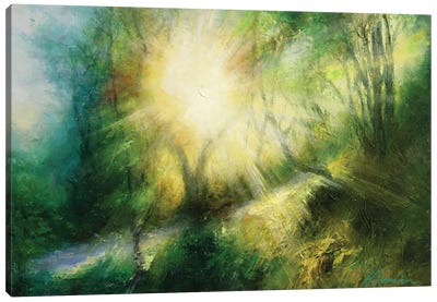 Morning Sun Rise Through The Branches Country Lane In Yorkshire Canvas Art Print - Hannah Kerwin