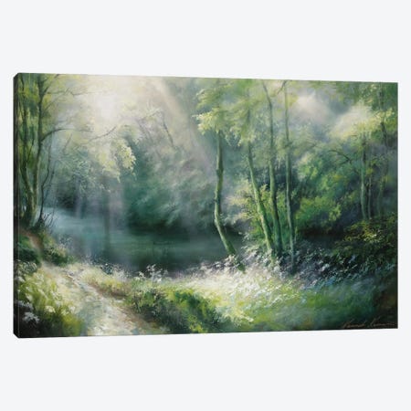 Summer Brilliance - Light Rays Through The Boughs Path By River Nidd Canvas Print #HKW28} by Hannah Kerwin Canvas Art