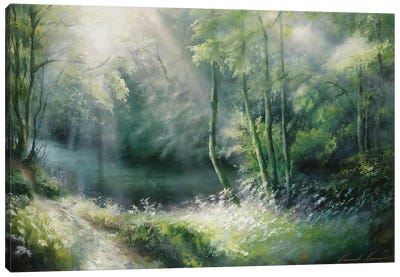 Summer Brilliance - Light Rays Through The Boughs Path By River Nidd Canvas Art Print - Green Art